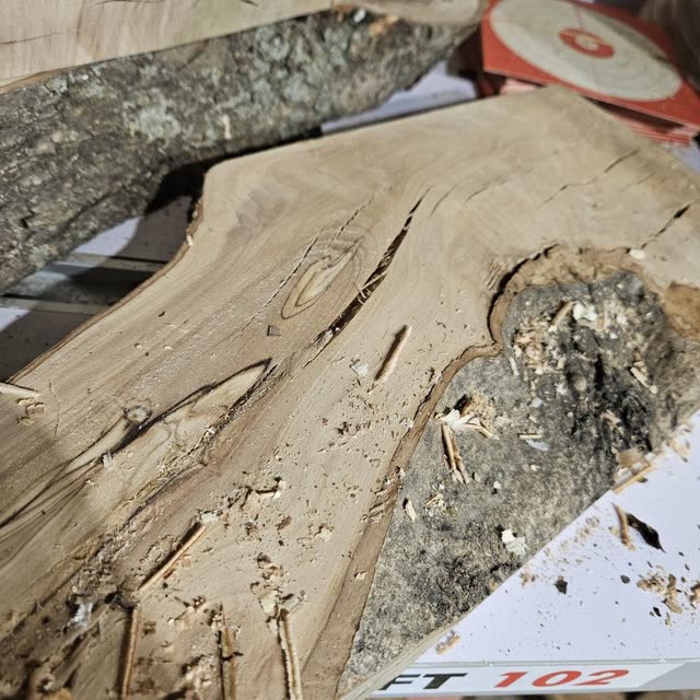 Planche en olivier — photo 7