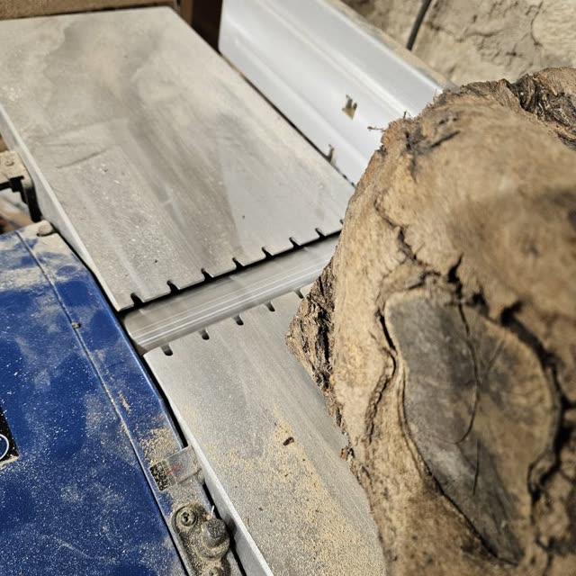 Planche en bois de bout d'oliver — photo 8