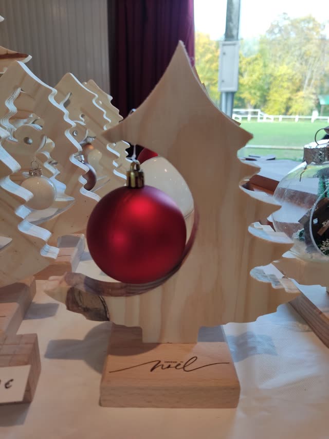 Des mini sapins de Noël — photo 6
